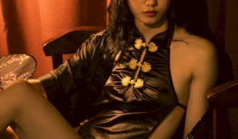 激情图片小说视频,图文视频交织的情感火花